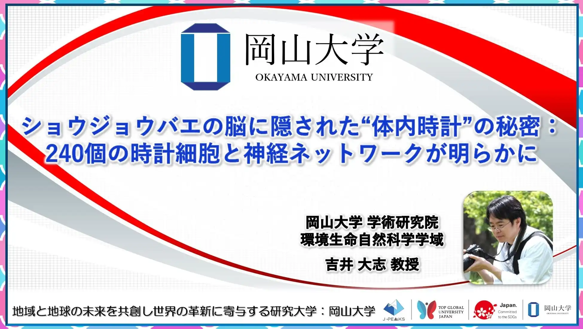 岡山大学がショウジョウバエの脳内時計細胞を解明、約240個の神経細胞とネットワークの全容が明らかに