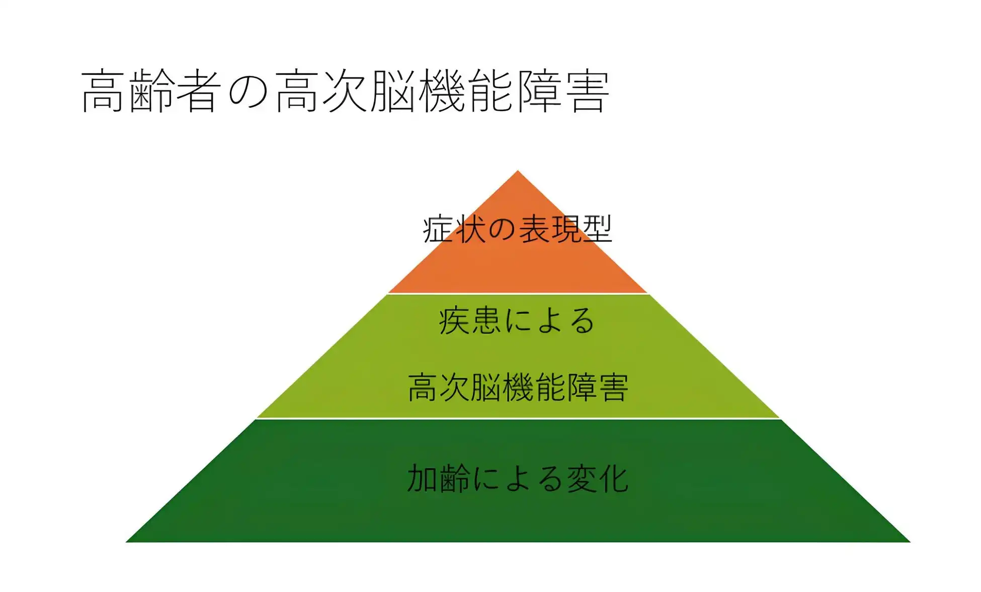 新潟医療福祉大学が高次脳機能障害支援従事者研修会で講演、地域の医療福祉専門職の知識向上に貢献