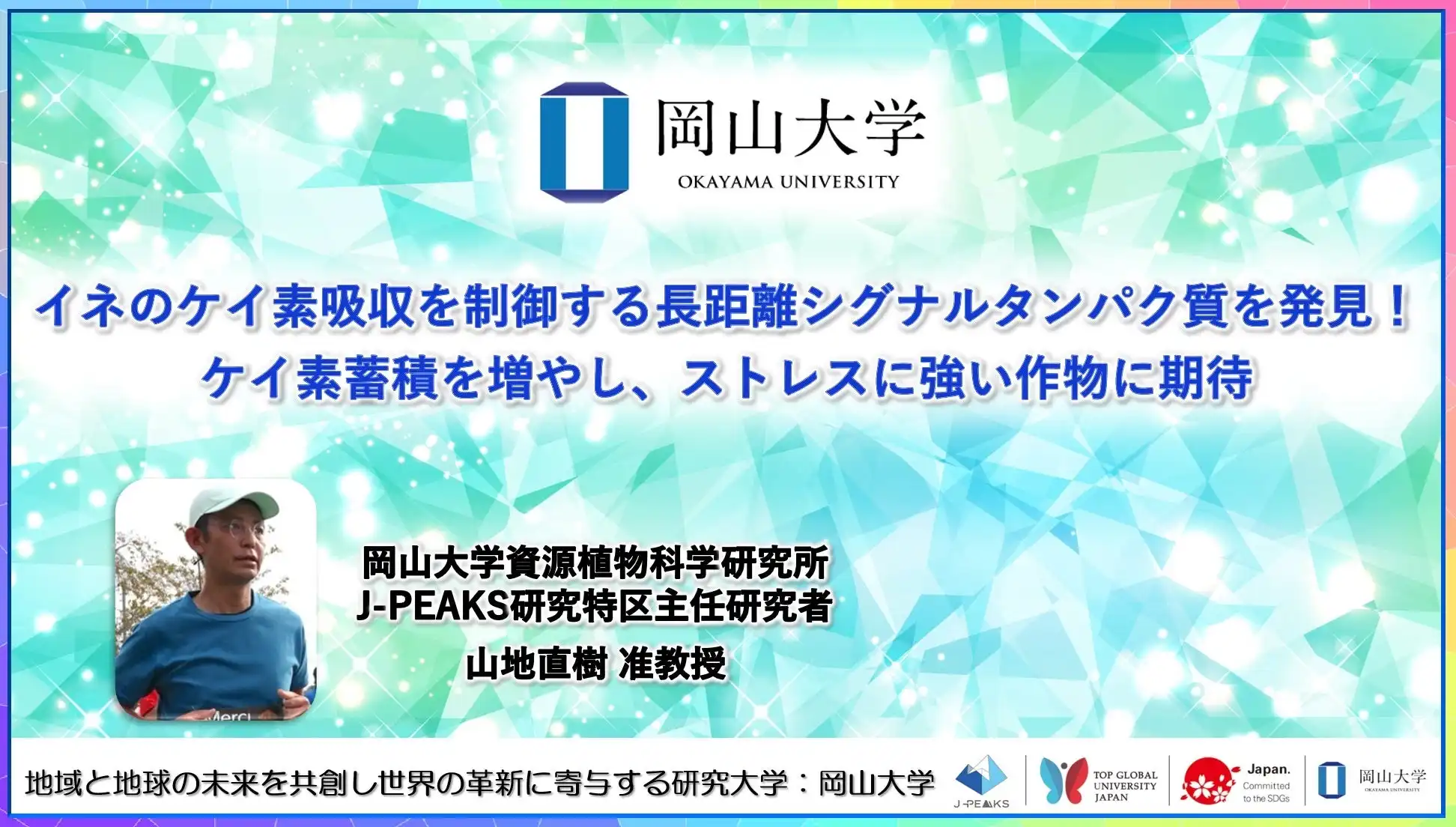 岡山大学がイネのケイ素吸収制御タンパク質SSSを発見、ストレス耐性作物の開発に期待高まる