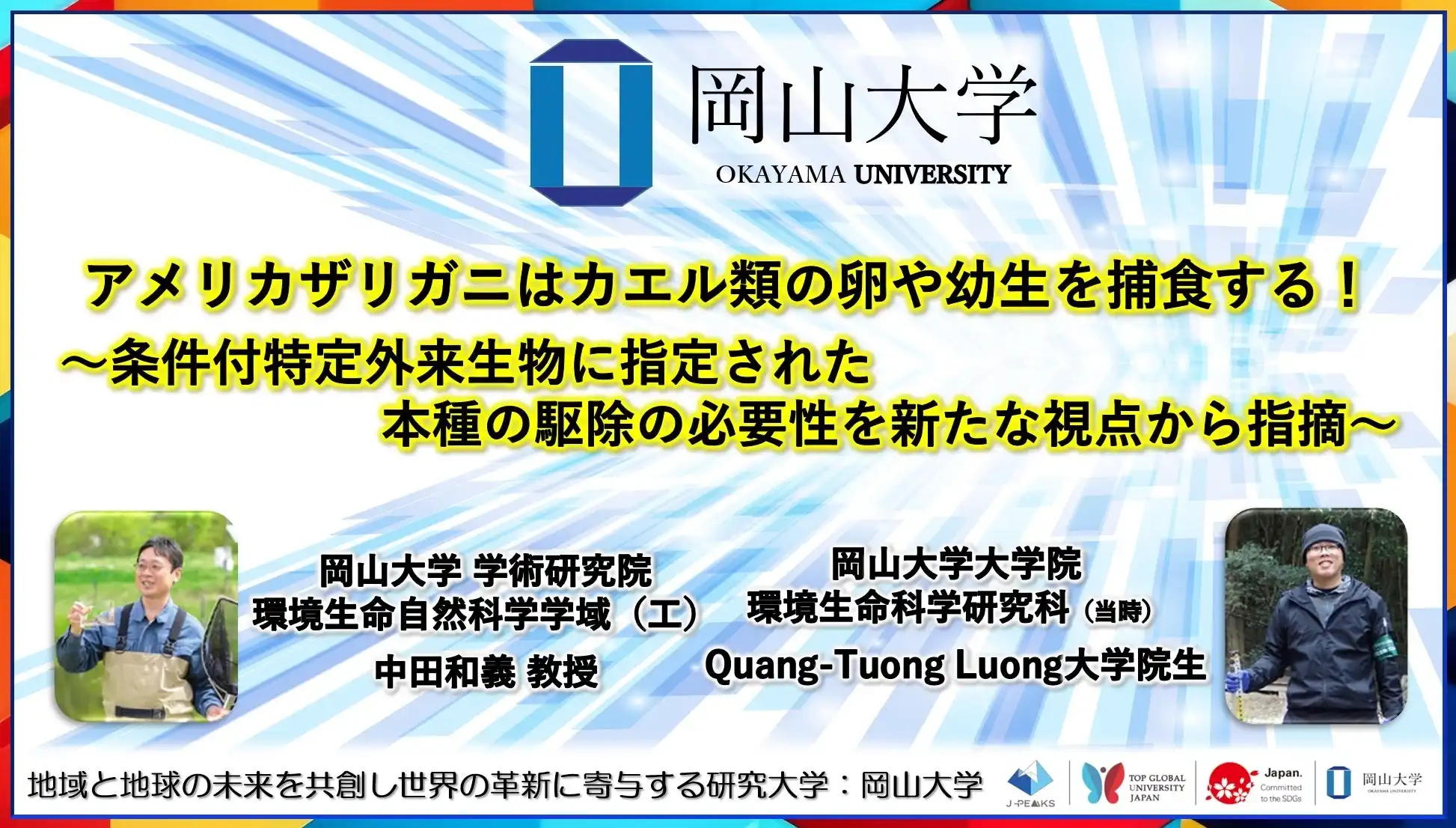 岡山大学がアメリカザリガニの捕食実験結果を発表、在来カエル類の保全に向けた新たな知見を提供